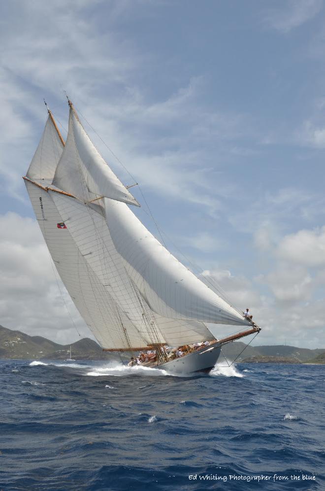 Classic race - 2015 Antigua Classic Yacht Regatta © Ed Whiting